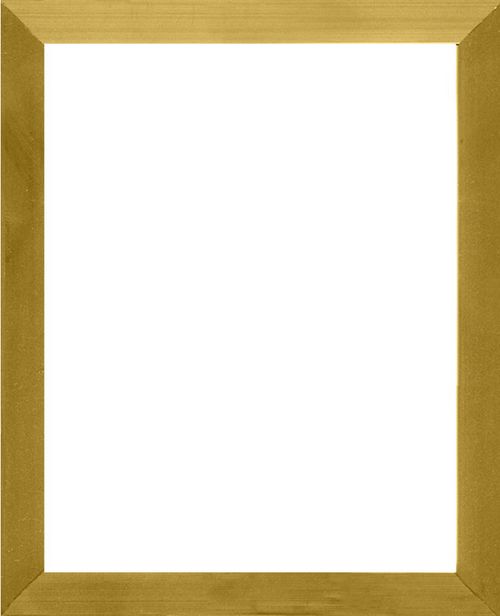 Gold Flat Metal Frame